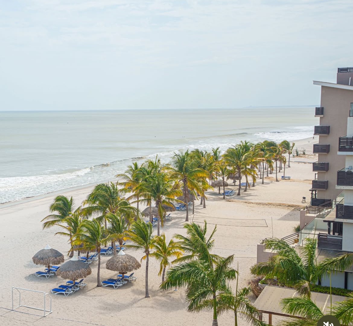 Palm-lined Panama beach with blue lounge chairs and thatched umbrellas